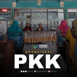 Koordinasi PKK Kalurahan Pucung.